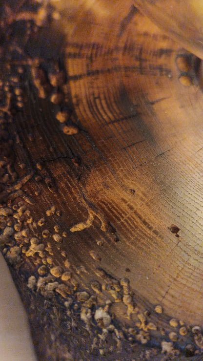 Rustikk bordlampe i furu, dimbar