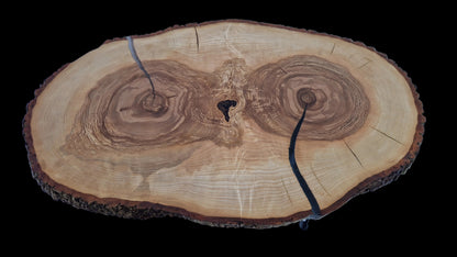 Cross-section of a tree trunk with visible grain pattern