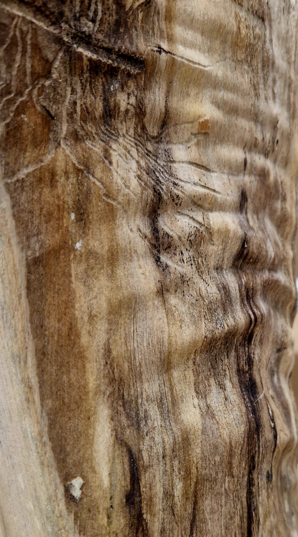 Detailed macro shot of the natural grain and texture of the Ash wood showing organic ripples and brown tones.