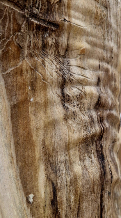 Detailed macro shot of the natural grain and texture of the Ash wood showing organic ripples and brown tones.