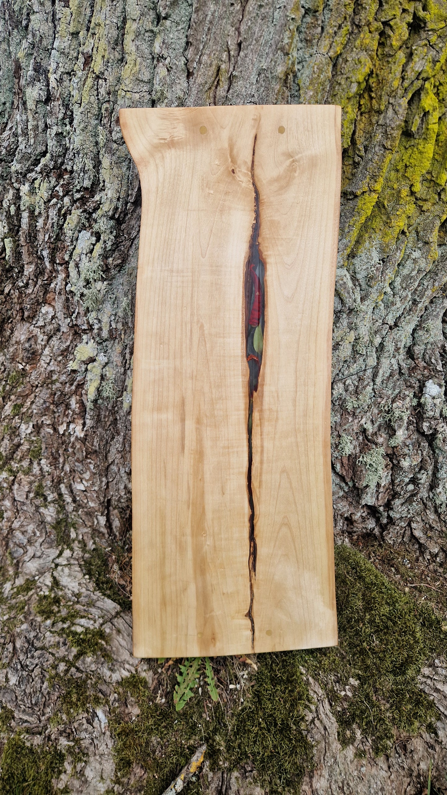 Apple wood serving board - chilli and bay leave