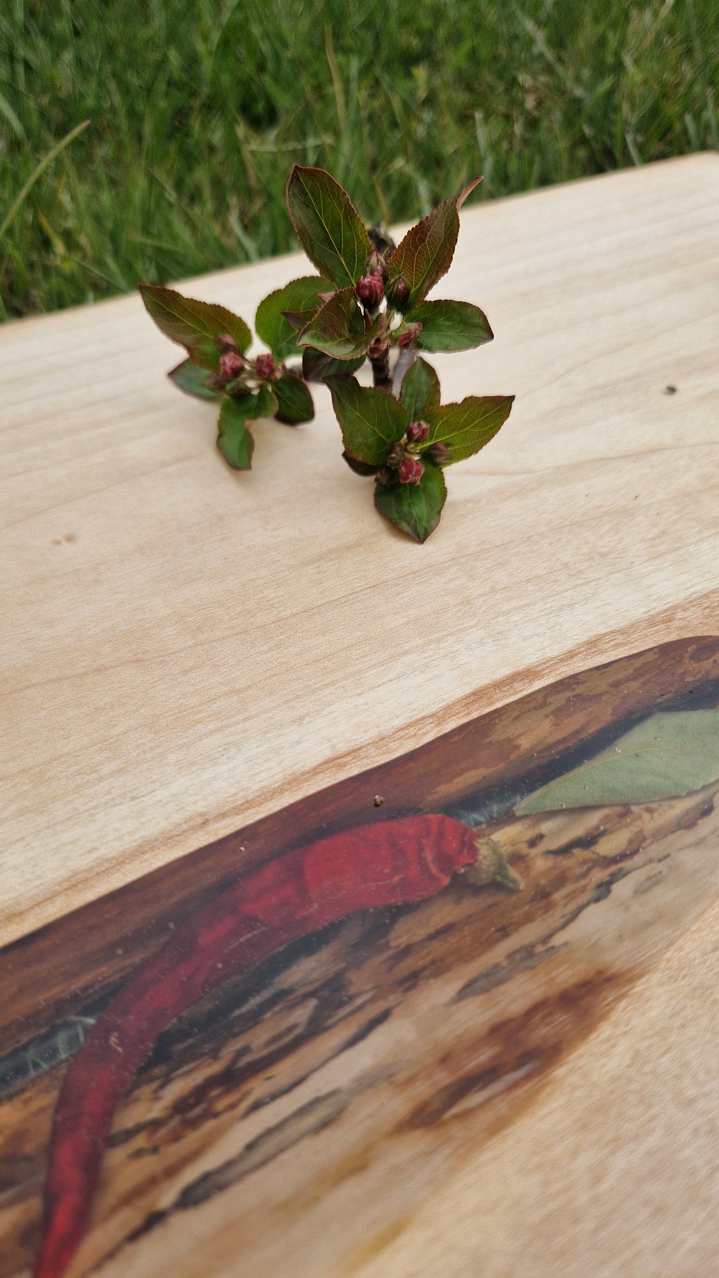 Apple wood serving board - chilli and bay leave